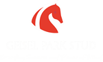 geisel-park-logo-white-150