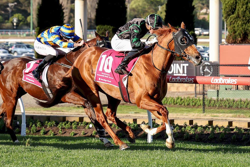 Aysar wins Chautauqua