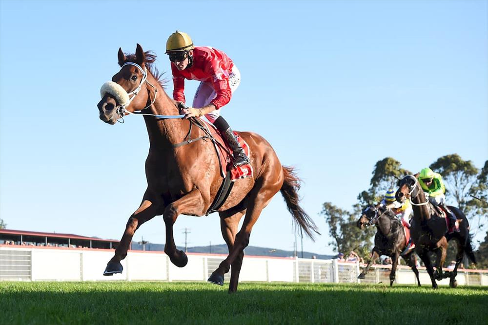 Fame Wins Moe