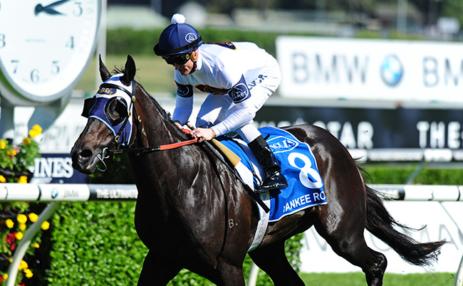 yankee rose wins sires' produce stakes