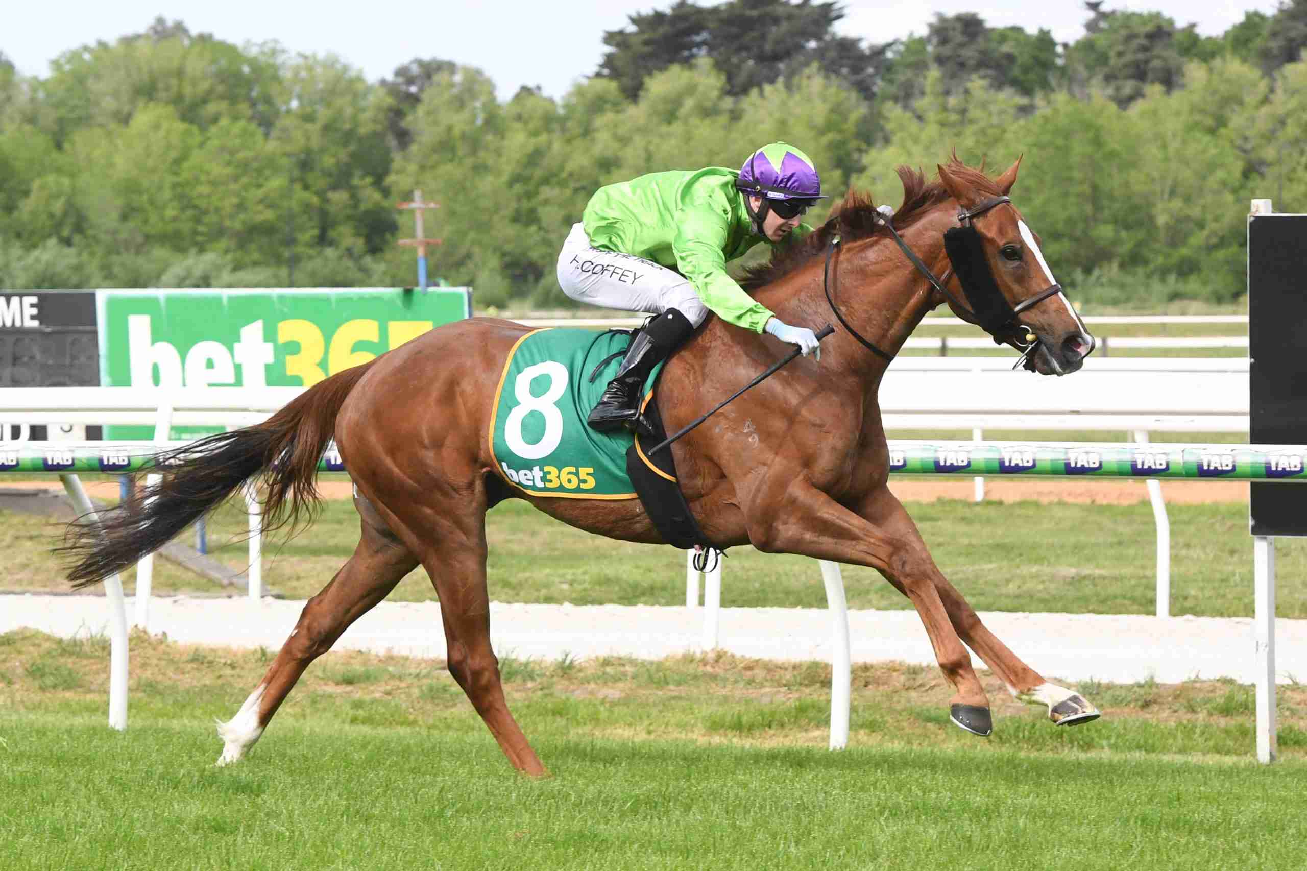 New york hurricane captures kyneton cup geisel park